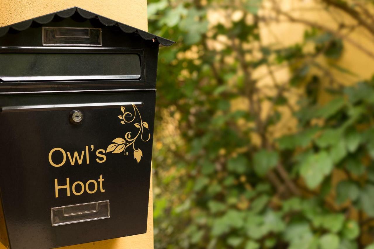 Owl'S Hoot Villa Thorndon Exterior photo